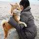 Illustration for article titled Women With Dogs Can Be Crazy.